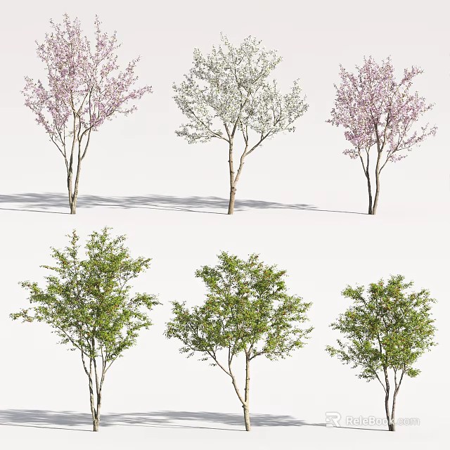 Different Types of Trees with Pink White Blooms and Green Foliage 3d model 