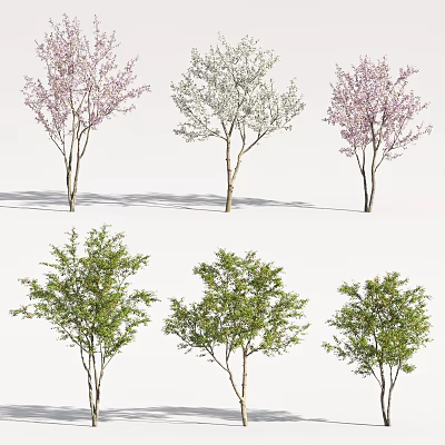 Different Types of Trees with Pink White Blooms and Green Foliage 3d model