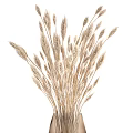 Elegant Brown Textured Vases With Dried Wheat Like Grasses For Home Decor