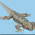 Detailed View Of Gray And Green Patterned Gecko With Orange Eyes On Light Blue Background