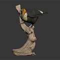 Modern Peco toucan 3d model