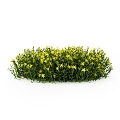 Ferguson Shrub Landscape Shrub Outdoor Plant 3d model