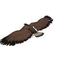 Majestic Flying Eagle With Spread Wings And Sharp Talons In Mid Air