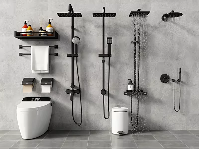 Modern Bathroom Design With Multiple Shower Head Styles Toilet Shelf And Towel Rack 3d model