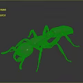 Metallic Ant 3D Model With Shiny Surface And Detailed Legs On Dark Background