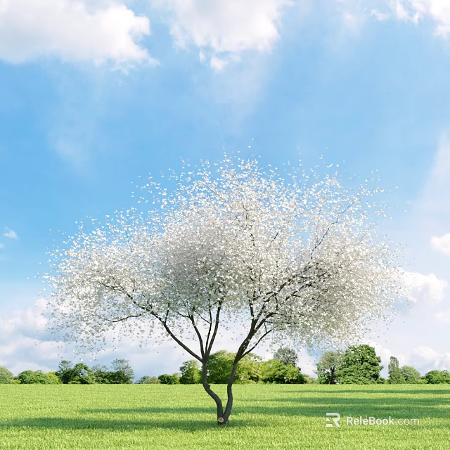 Blooming White Blossom Tree In Lush Green Grass Under Vibrant Blue Sky 3d model 
