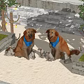 Brown Dogs With Blue Bandanas Sitting On Sand With Puppies And Stone Wall