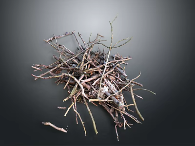 Natural Dry Twigs Stacked In Pile With Various Sizes And Textures 3d model