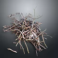 Natural Dry Twigs Stacked In Pile With Various Sizes And Textures