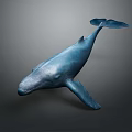 Blue Whale Majestic Aquatic Animal With Blue Coloration Graceful Swimming Posture Isolated On Gray Background
