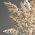 Minimalist Beige Pampas Grass in Amber Glass Vase for Modern Interior Decor