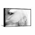 Black And White Horse Eye Close Up Animal Painting Framed Wall Art With Detailed Texture