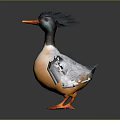Colorful Duck With Black Crest Orange Beak Feet And Gray White Wings On Dark Background