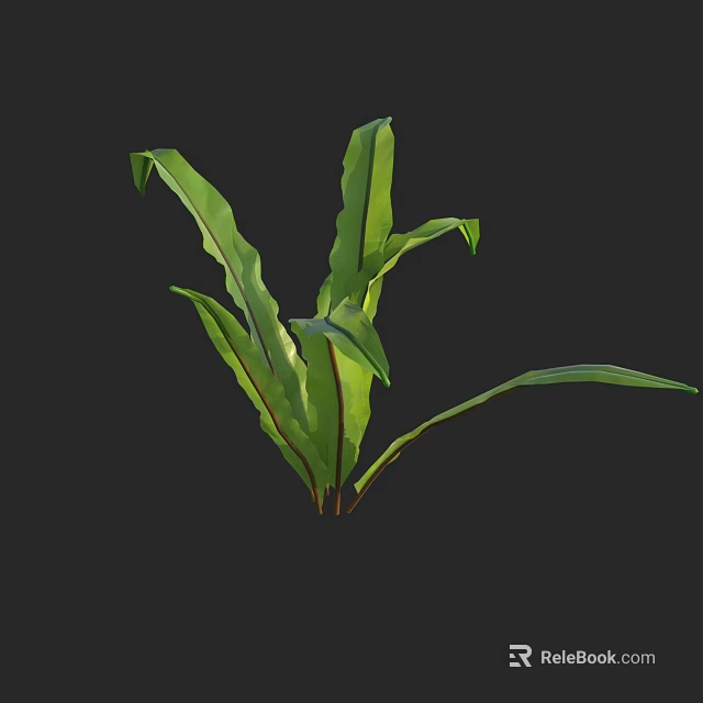 Vibrant Green Herbaceous Plant With Long Lush Leaves And Fresh Foliage 3d model 