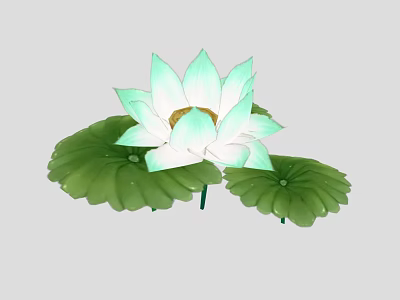 Fresh Light Green And White Lotus Flower With Blooming Petals And Lotus Leaves 3d model