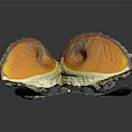 Split Exotic Fruit With Vibrant Orange Interior And Blue Outer Layers