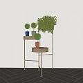 Stylish Gold Metal Plant Stand With Various Colored Pots And Green Plants Home Interior