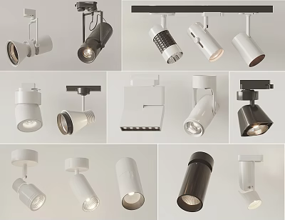 Various Styles of Downlights and Spotlights with Modern White Black Designs for Interior Lighting 3d model