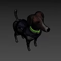 Adventurous Game Character Dog In Blue Vest And Green Collar Standing In Wheat Field