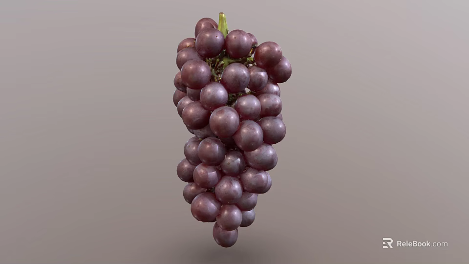 Fresh Juicy Purple Grapes Bunch Hanging On Green Vine With Ripe Berries 3d model 