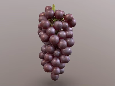 Fresh Juicy Purple Grapes Bunch Hanging On Green Vine With Ripe Berries 3d model