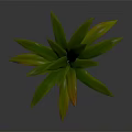 3D Rendered Plant with Broad Green Leaves and Yellow Tips on Gray Background