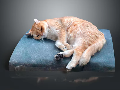 Orange Cat Sleeping Peacefully On Soft Blue Cushion In Calm Setting 3d model