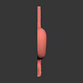 Detailed 3D Model of Human Stomach Showing Anatomical Structure And Internal Texture