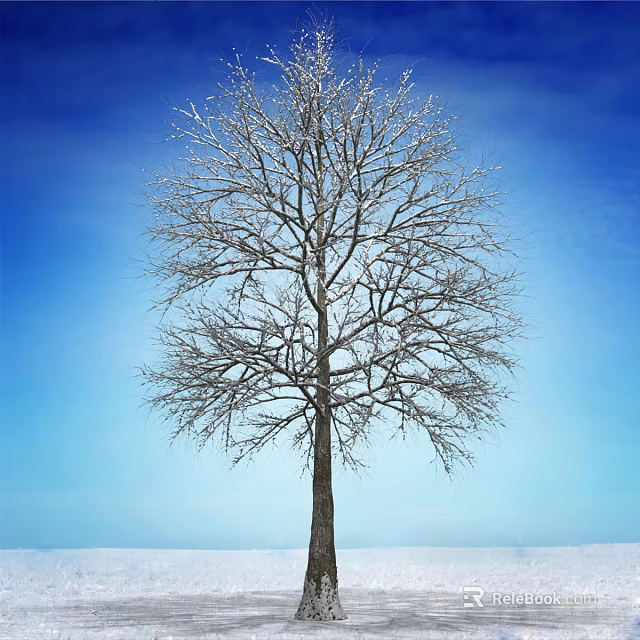 Bare Tree With Snow Covered Branches Against Clear Blue Sky And Snowy Ground 3d model 