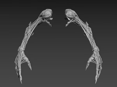 3D Model Character Featuring Symmetric Creature Skeleton Claw Structures With Complex Textures And Sharp Spikes 3d model