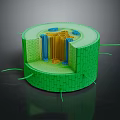 Plant Cell Structure with Detailed Internal Components and Green Cell Wall 3d model
