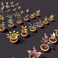 Diverse Collection of Potted Plants with Colorful Flowers and Green Leaves