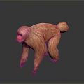 Monkey Cartoon Monkey Anime Monkey Stylized Monkey Fantasy Style Monkey Toy 3d model