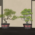 Indoor Bonsai Plants With Green Foliage In Decorative Pots By Traditional Wooden Screen