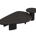 Modern Black Coffee Table With Irregular Shaped Top And Round Side Table 3d model