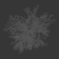 Leafless tree with white trunk against black background and human silhouette for size reference 3d model