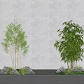 Green Bamboo Plants Growing Against White Wall With Rocks Pebbles And Grass