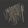 Natural Tree Branches And Twigs For Craft Decor And DIY Projects 3d model