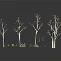 White Trunk Trees With Yellow Leaves And Colorful Small Flowers Near Stones On Reflective Gray Ground