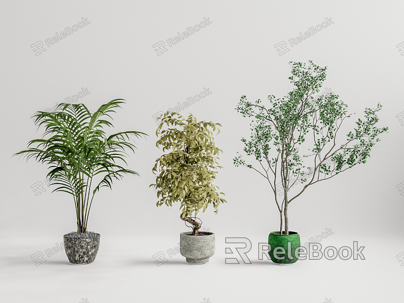 Modern potted plant potted landscape tree model