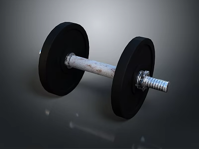 Sturdy Black Dumbbell With Silver Metal Bar For Home Fitness Training 3d model