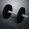 Sturdy Black Dumbbell With Silver Metal Bar For Home Fitness Training