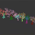 Leafless Trees with Various Colored Trunks Green Bases in Dark Background and Reflections