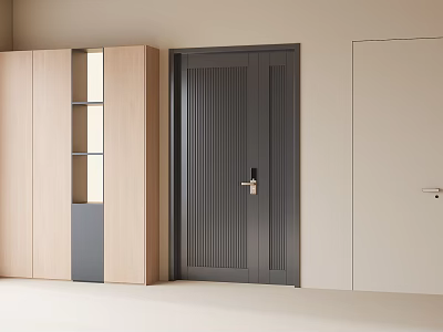 Modern Interior Design With Dark Slatted Door And Light Wooden Cabinet 3d model
