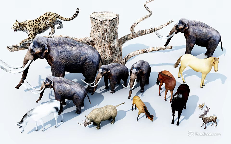 Various Reptile Species In Natural Habitat With Green Plants And Rocks 3d model 