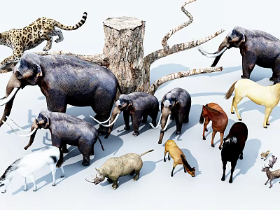 Various Reptile Species In Natural Habitat With Green Plants And Rocks 3d model