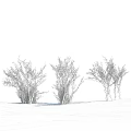 Snow Covered Bushes Standing On Winter Hillside Under Blue Sky With White Clouds