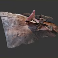 Vibrant Pink Mushroom Growing on a Piece of Weathered Wood with Natural Texture