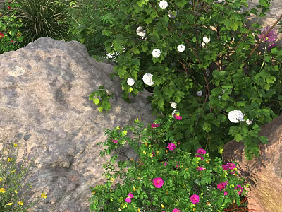 Vibrant Garden With Lush Green Foliage White Flowers Pink Blooms And Natural Rock 3d model