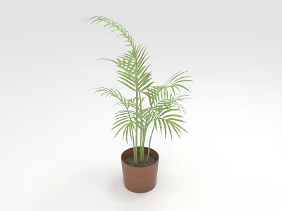 Green Tropical Plant With Feathery Leaves In Brown Pot On White Background 3d model